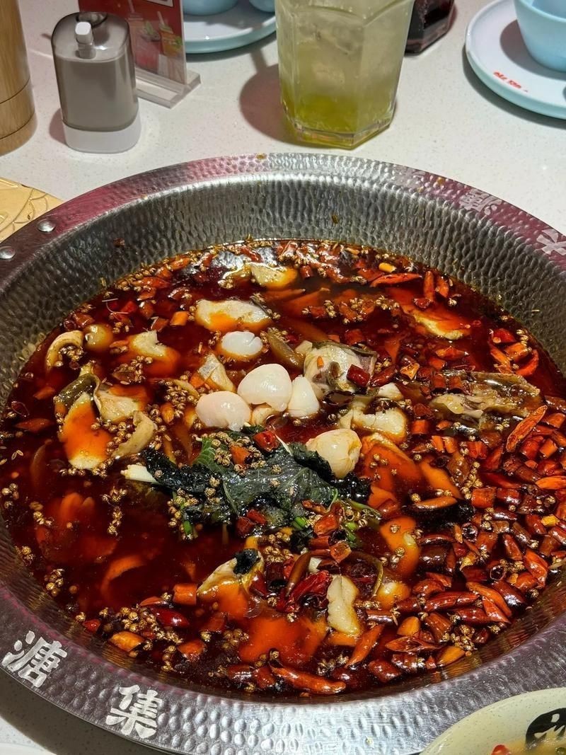 荔枝鳳冠魚圖片【荔枝鳳冠魚是一種極具特色的觀賞魚】