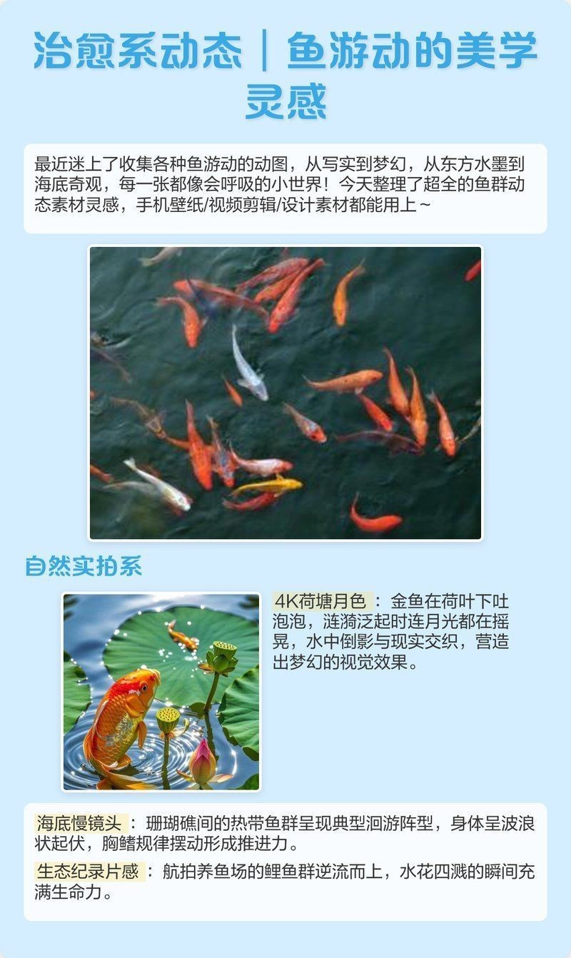 金龍魚動態壁紙有哪些風格？【治愈系動態魚游動的美學靈感】
