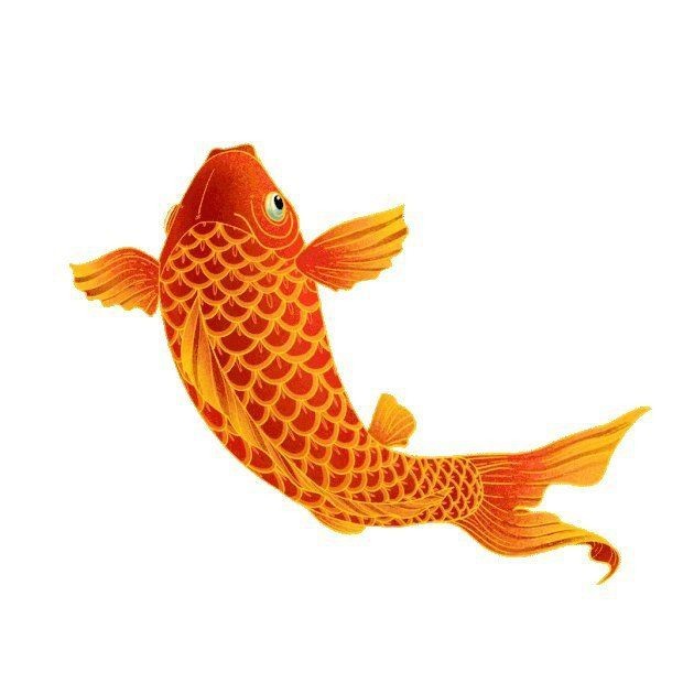 金龍魚動態壁紙有哪些風格？【治愈系動態魚游動的美學靈感】