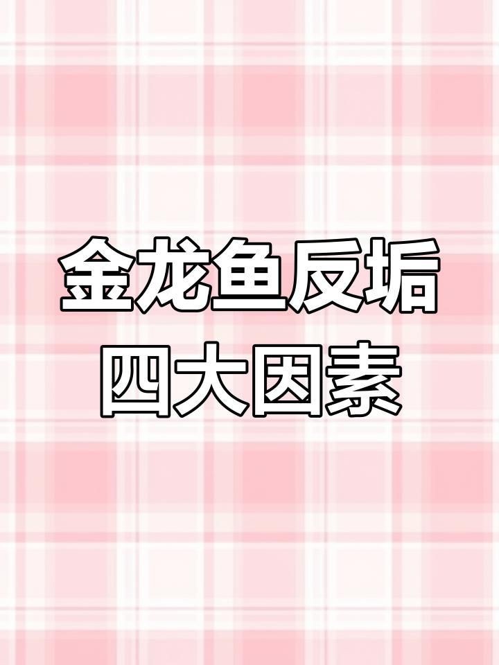 龍魚反垢期間應(yīng)該如何護(hù)理？【金龍魚反垢原因分析:環(huán)境、光照和飼養(yǎng)技巧】