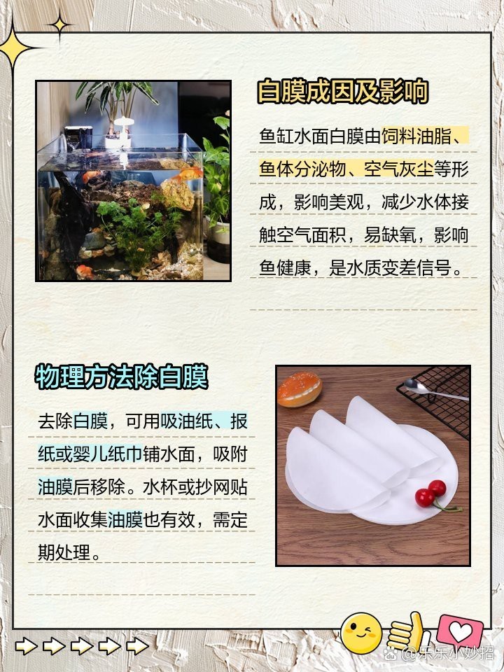 龍魚白膜最簡單三個步驟【 龍魚白膜最簡單三個步驟【\