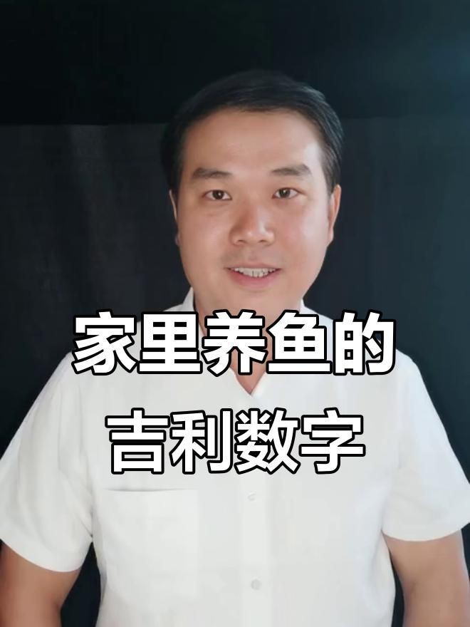 龍魚養什么顏色的最好【龍魚養什么顏色最好】