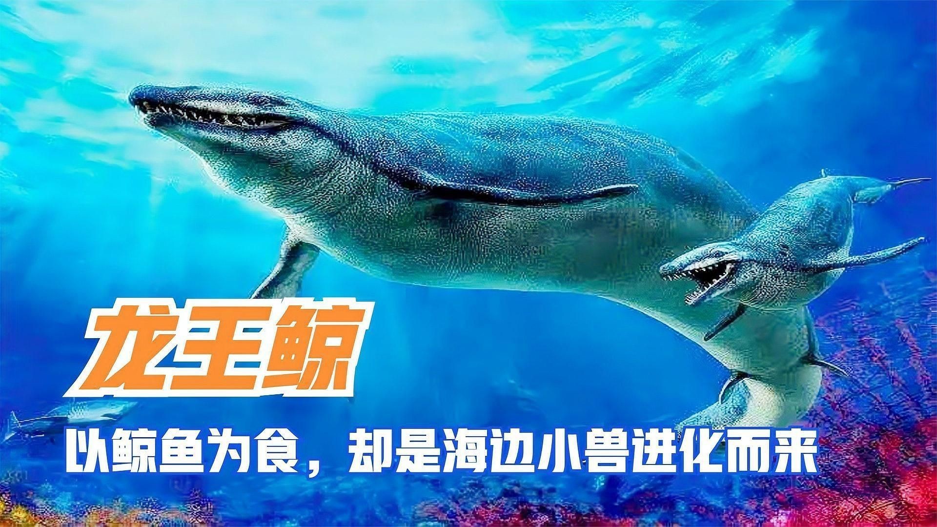 龍王鯨
