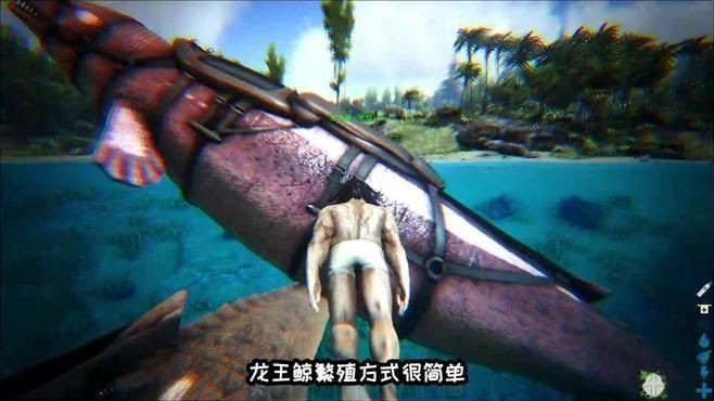 龍王鯨