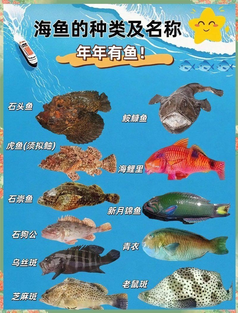 海洋動物名稱大全500種【海洋動物名稱大全】
