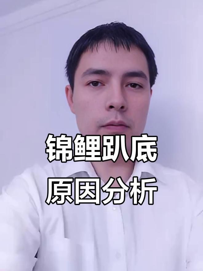 錦鯉趴缸底如何快速恢復(fù)？【錦鯉趴缸底怎么辦】 錦鯉趴缸底如何快速恢復(fù)？【錦鯉趴缸底怎么辦】 龍魚百科 第2張