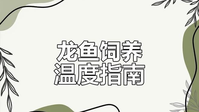 紅龍魚發色的最佳水溫
