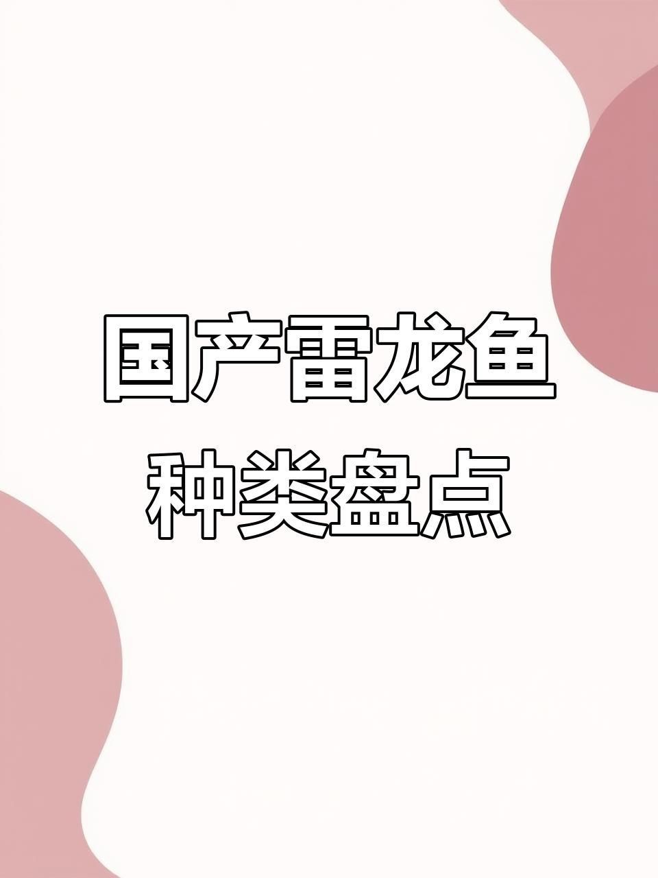 彩虹雷龍魚有哪些品種？【彩虹雷龍channagachua嗶哩養熱帶魚彩虹雷龍的分享】 彩虹雷龍魚有哪些品種？【彩虹雷龍channagachua嗶哩養熱帶魚彩虹雷龍的分享】 龍魚百科 第3張