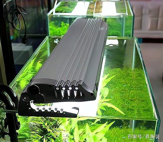 水草燈用燈管還是led【\