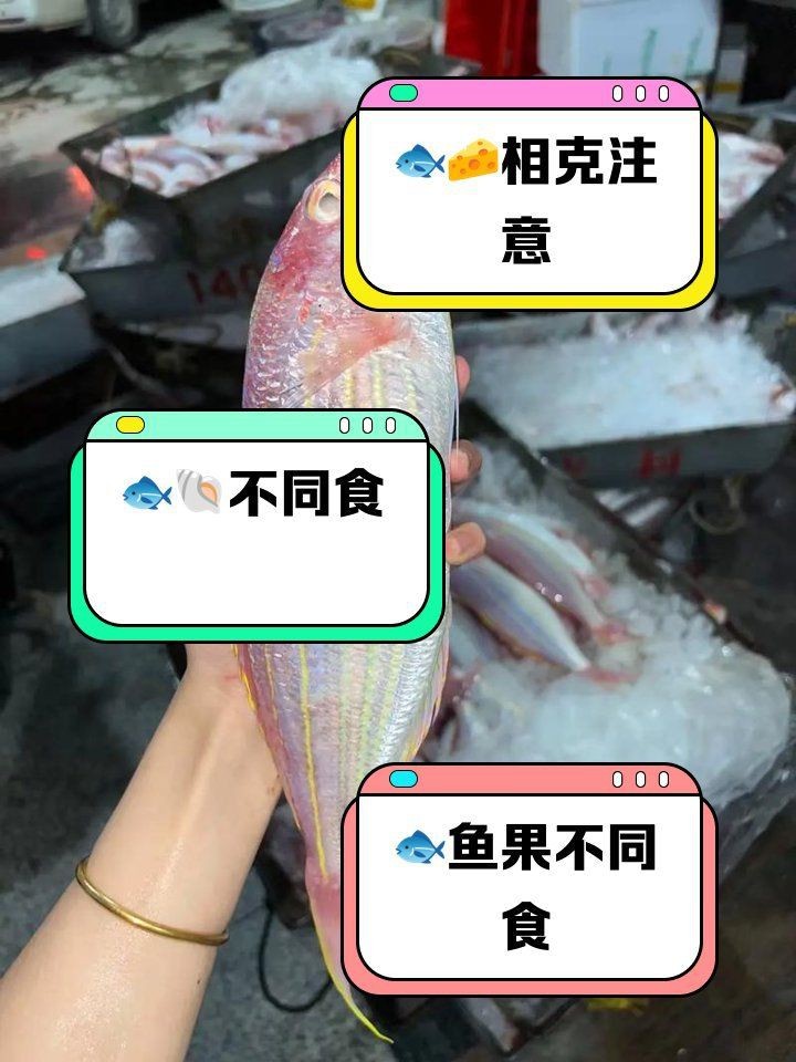 虎魚相克的食物【《虎魚相克的食物》】