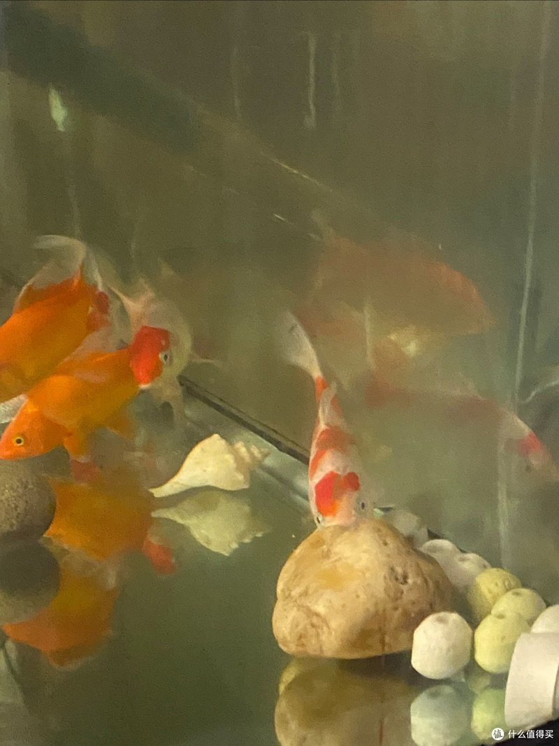 仟湖5號(hào)最值得買的三個(gè)東西【仟湖5號(hào)系列三大型落地龍魚缸系列最值得買的三大產(chǎn)品】