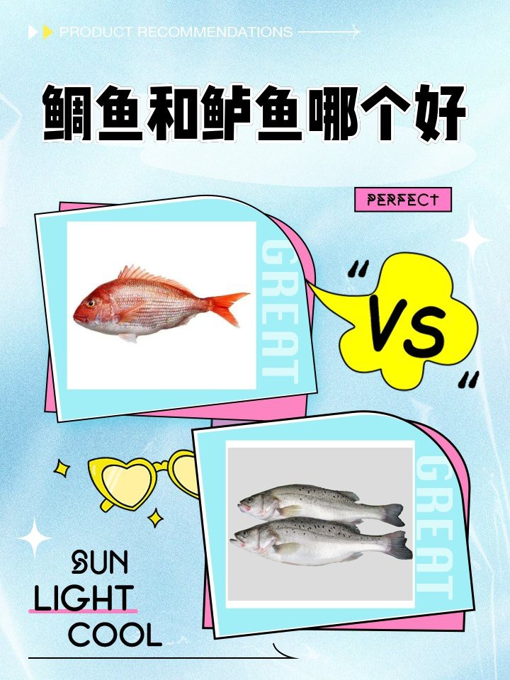 鯛魚和鱸魚哪個好【鱸魚和鯛魚哪個好】