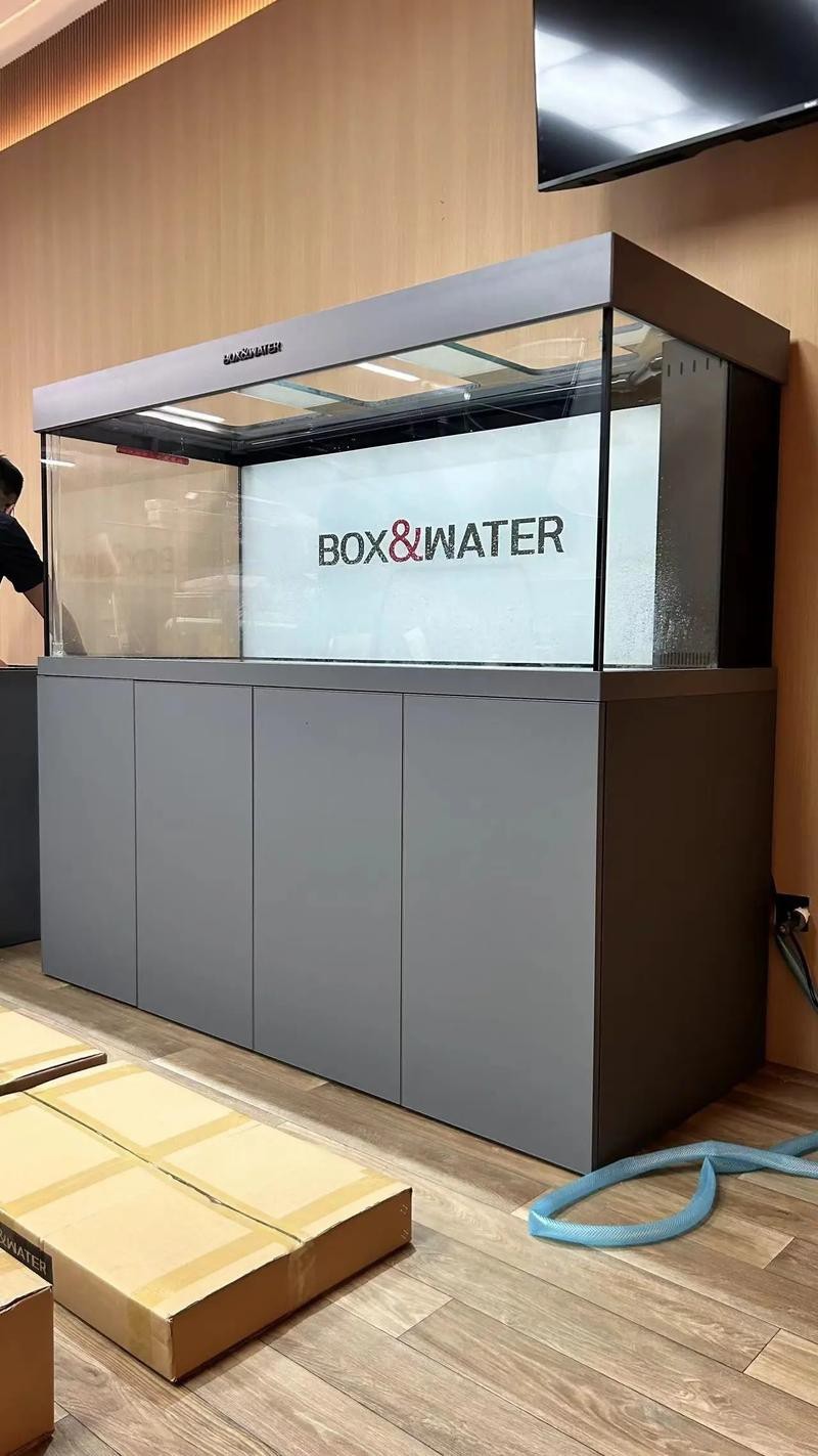 有沒有更多高清龍魚缸壁紙尺寸推薦？【關于高清龍魚缸壁紙尺寸推薦】 有沒有更多高清龍魚缸壁紙尺寸推薦？【關于高清龍魚缸壁紙尺寸推薦】 龍魚百科 第11張