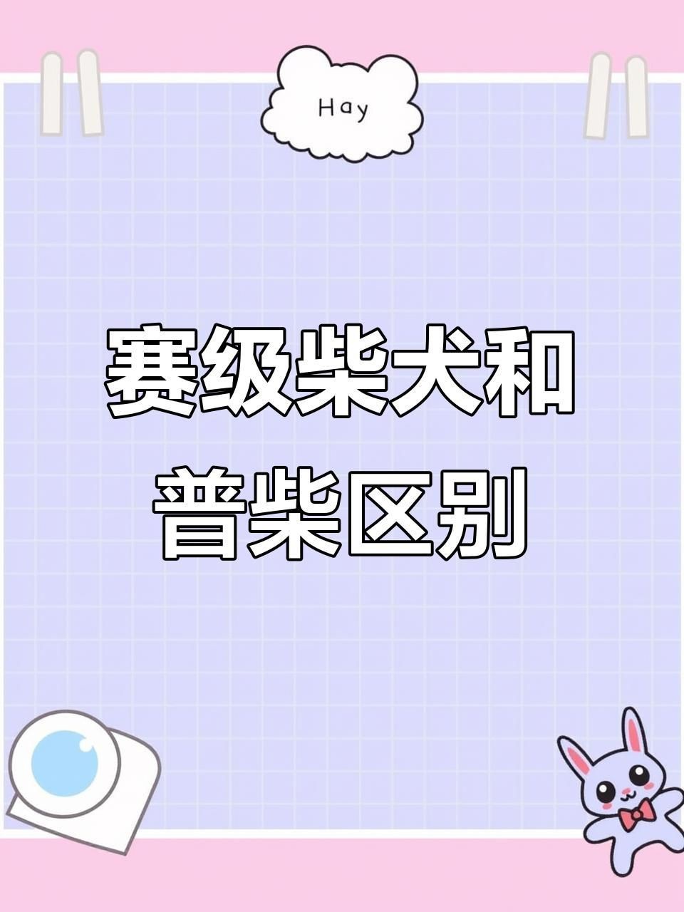 賽級(jí)犬和普通犬的區(qū)別【賽級(jí)犬與普通犬有什么區(qū)別，賽級(jí)犬與普通犬有何區(qū)別】