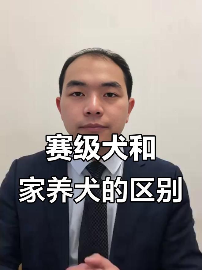 賽級(jí)犬和普通犬的區(qū)別【賽級(jí)犬與普通犬有什么區(qū)別，賽級(jí)犬與普通犬有何區(qū)別】