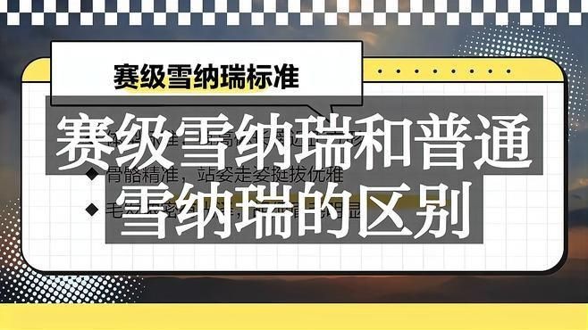 賽級(jí)犬和普通犬的區(qū)別【賽級(jí)犬與普通犬有什么區(qū)別，賽級(jí)犬與普通犬有何區(qū)別】