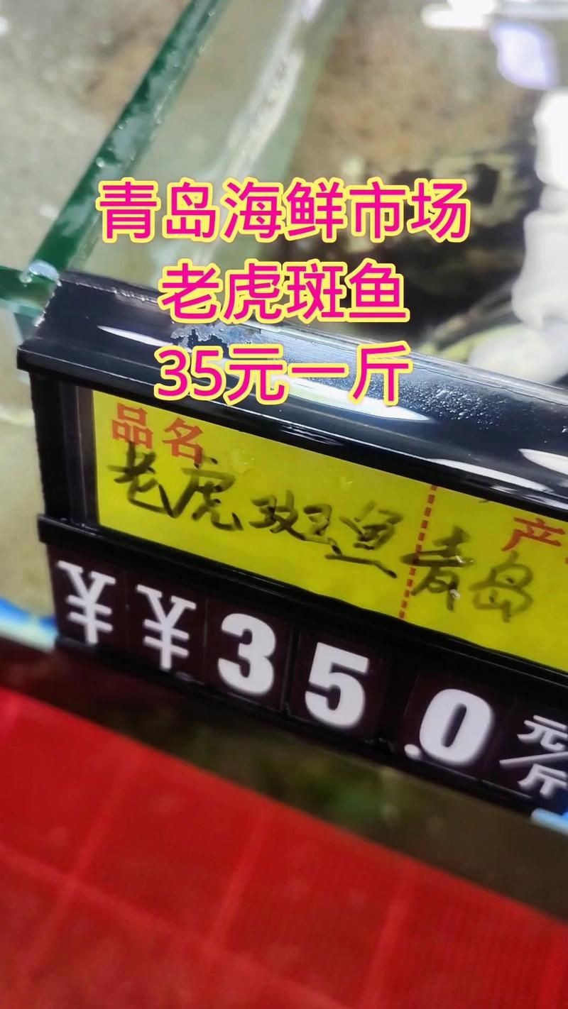 老虎斑魚價格多少一斤【老虎斑價格多少錢一斤】