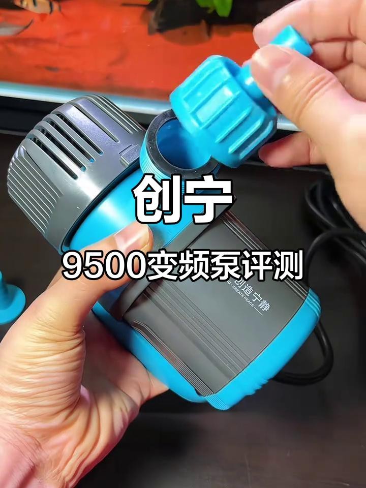 森森和創(chuàng)寧哪個(gè)好【怎么選這些品牌魚缸都是又好又耐用】 森森和創(chuàng)寧哪個(gè)好【怎么選這些品牌魚缸都是又好又耐用】 龍魚論壇 第5張