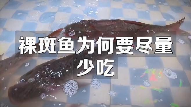 裸斑魚盡量少吃的原因【裸斑魚為何要盡量少吃】