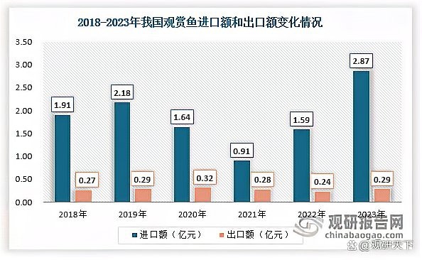 短身福龍魚的市場需求如何？【短身福龍魚市場需求受益，短身福龍魚市場需求呈現以下特點】