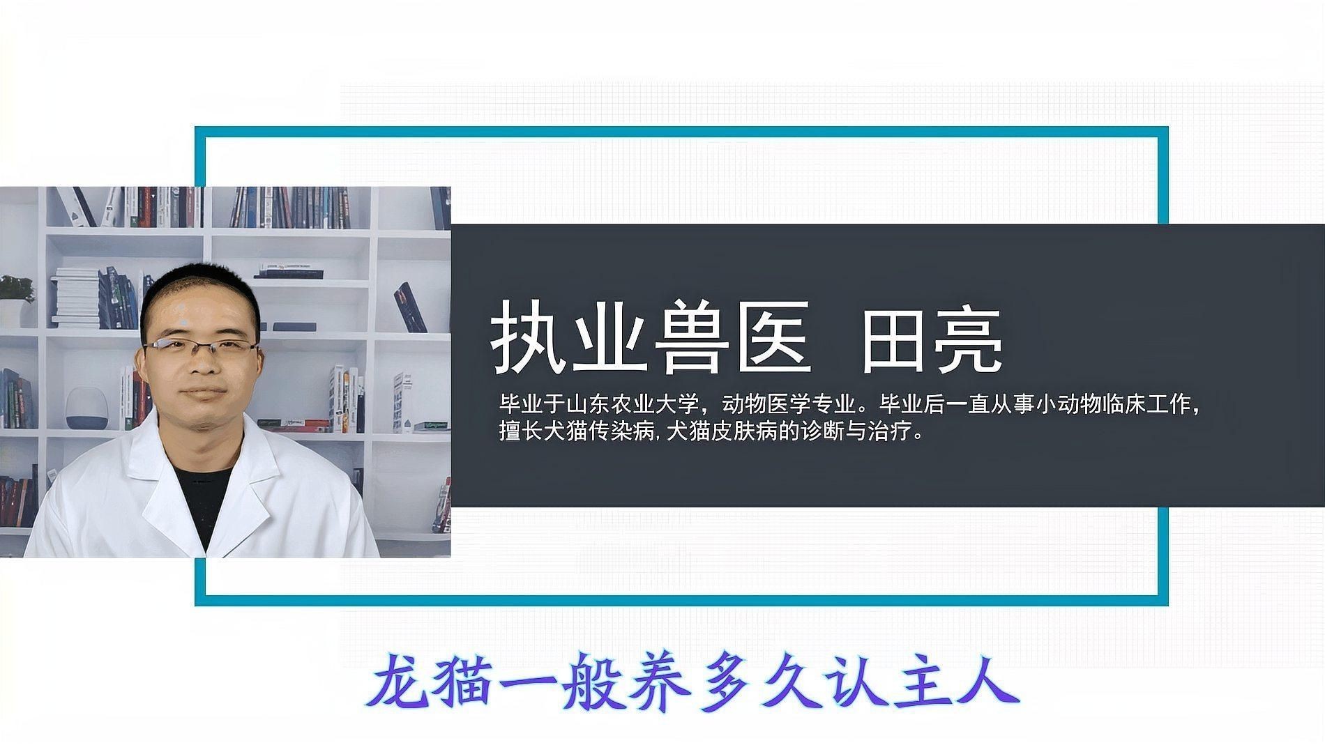 龍貓多久認主人【龍貓一般養多久認主人】