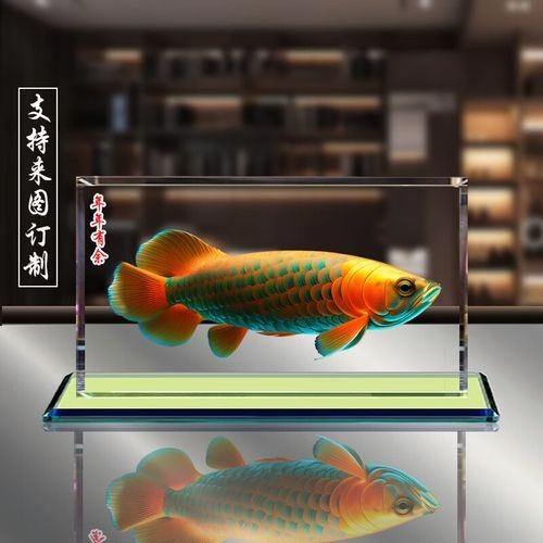 七彩金龍魚圖片大全【《七彩金龍魚圖片大全》】