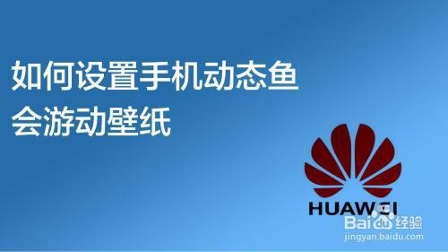 如何設置4K紅龍魚動態壁紙？【4k紅龍魚動態壁紙5步設置專屬動態壁紙全攻略】