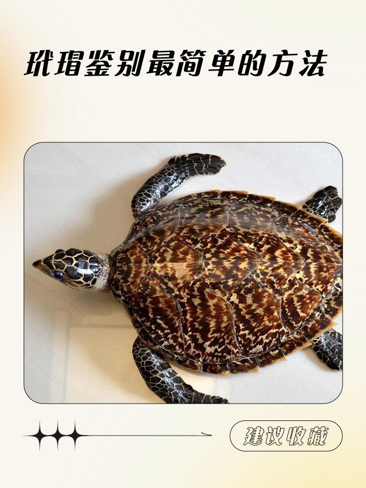 如何辨別龍頭魚飾品的真偽？【如何辨別龍頭魚飾品的真偽】 如何辨別龍頭魚飾品的真偽？【如何辨別龍頭魚飾品的真偽】 龍魚論壇 第3張