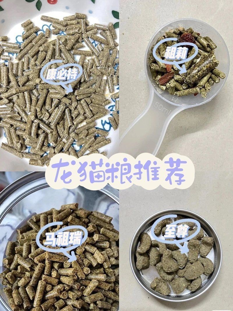 龍貓的主糧有哪些推薦？【貓的主糧推薦包括以下幾種：**專用龍貓糧】