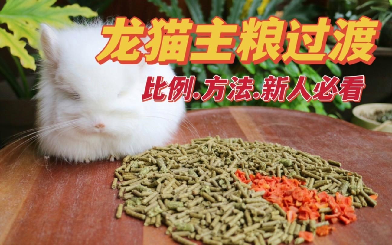 龍貓的主糧有哪些推薦？【貓的主糧推薦包括以下幾種：**專用龍貓糧】