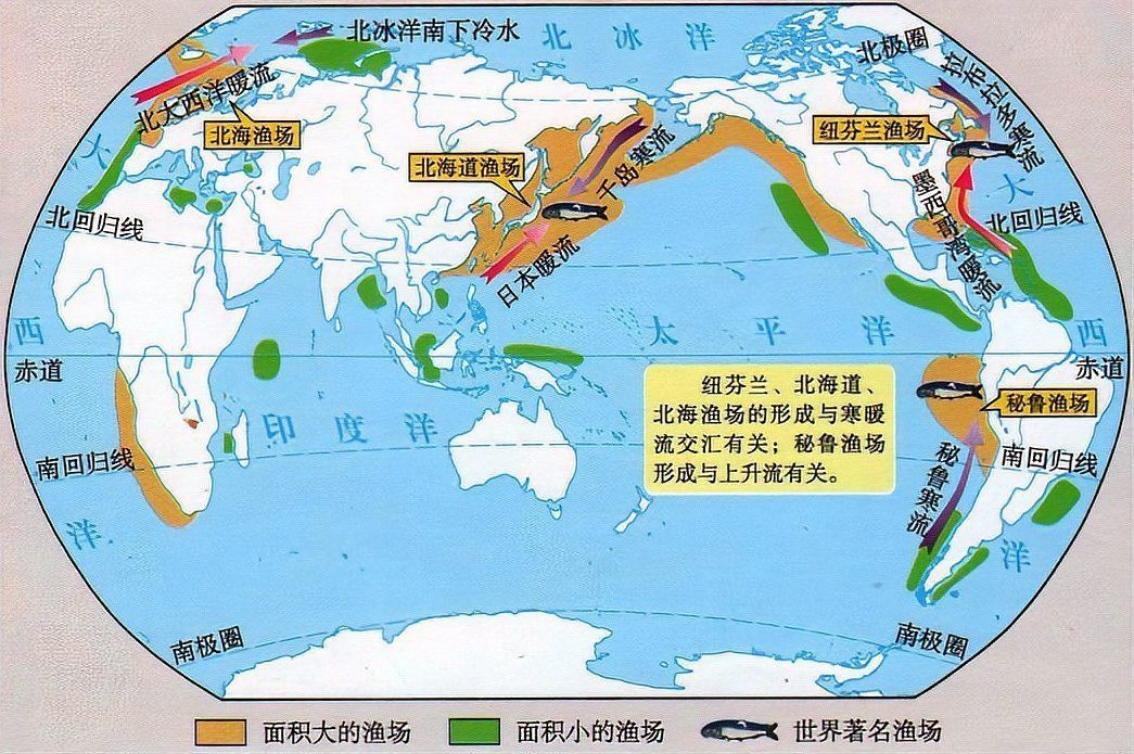 四大漁場位置圖【世界四大漁場與世界四大漁場的生態密碼與人文啟示】