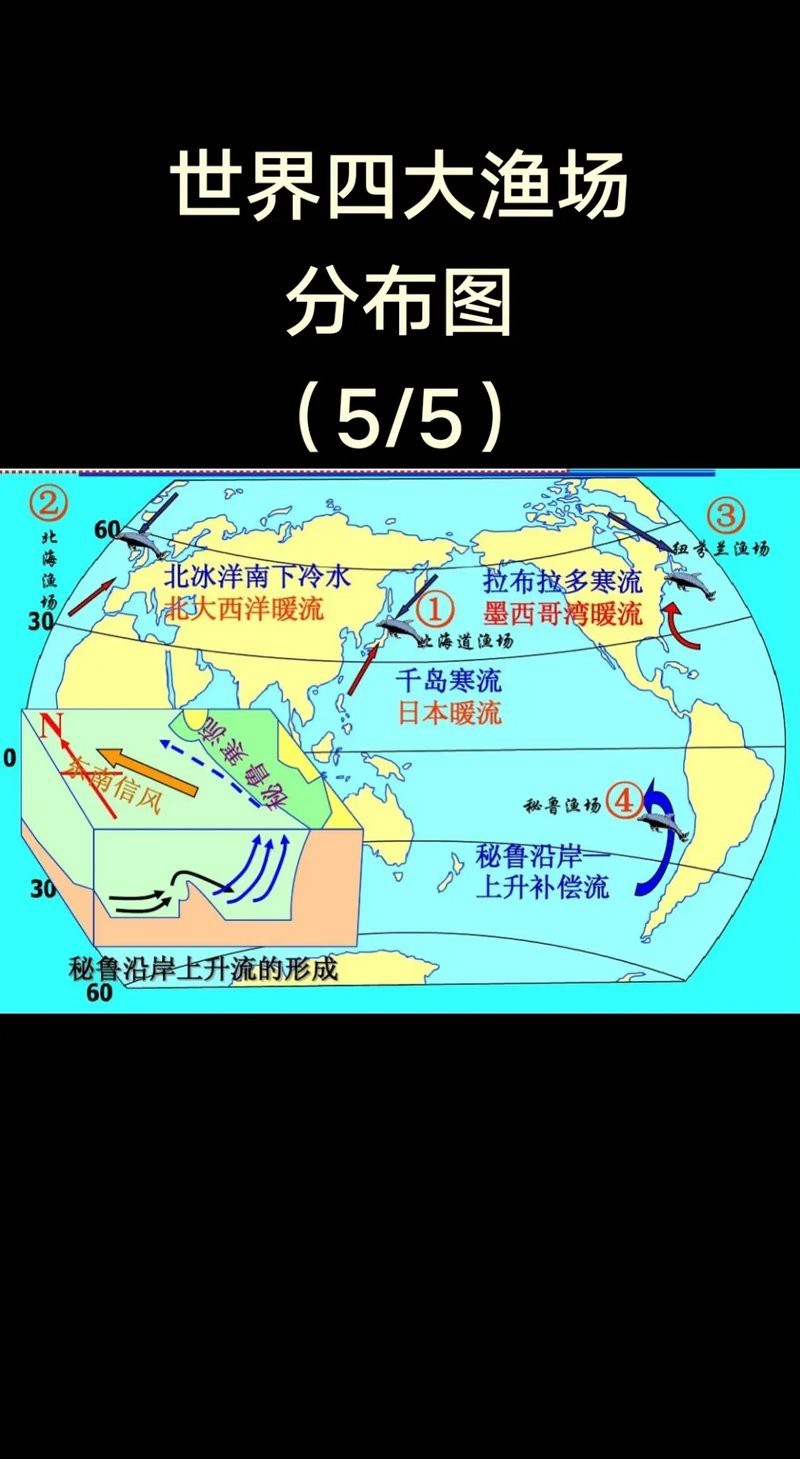 四大漁場位置圖【世界四大漁場與世界四大漁場的生態密碼與人文啟示】
