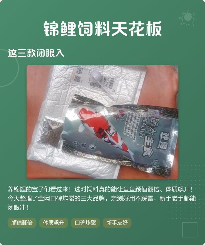 錦鯉最好三個品牌