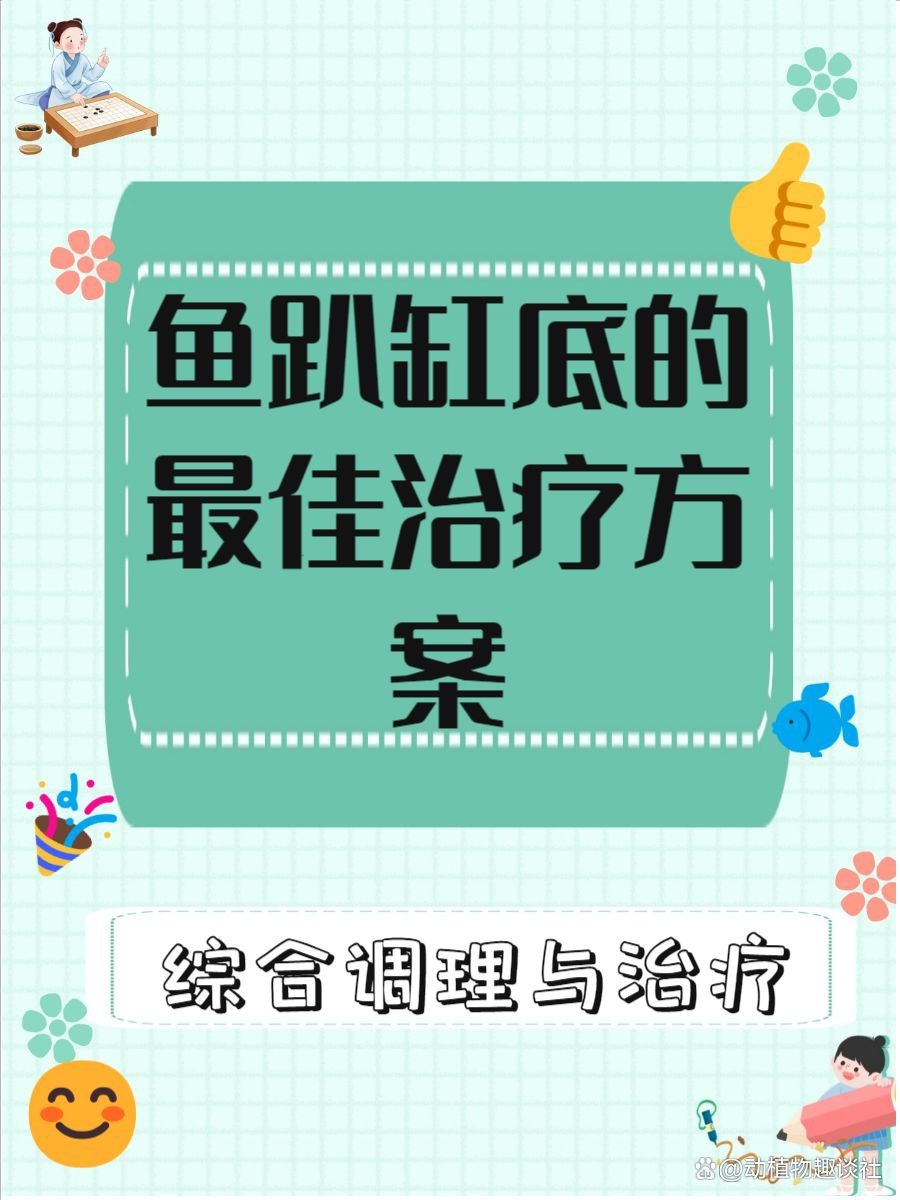 魚趴缸會自己恢復嗎【呼倫貝爾大草原的貓咪們,魚趴缸底會自愈嗎金魚趴缸會自愈嗎】