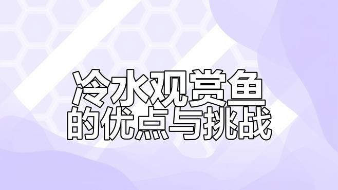 冷水觀賞魚養殖指南【《冷水觀賞魚養殖指南》】