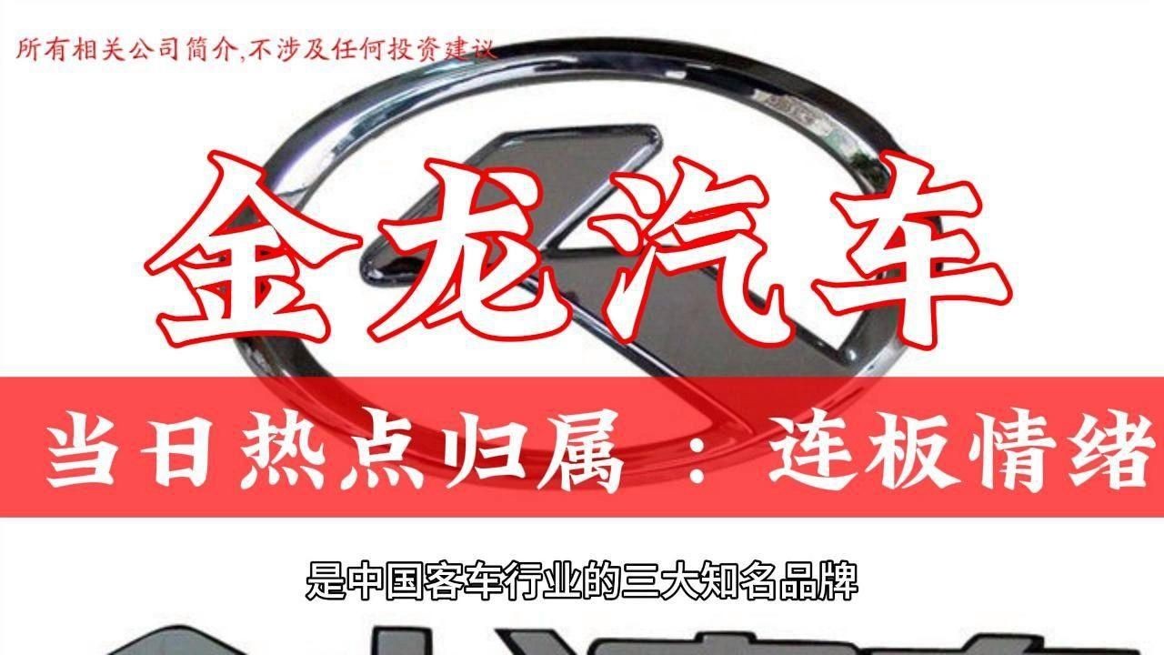 金龍集團(tuán)公司簡介【《金龍集團(tuán)公司簡介》】 金龍集團(tuán)公司簡介【《金龍集團(tuán)公司簡介》】 龍魚百科 第2張