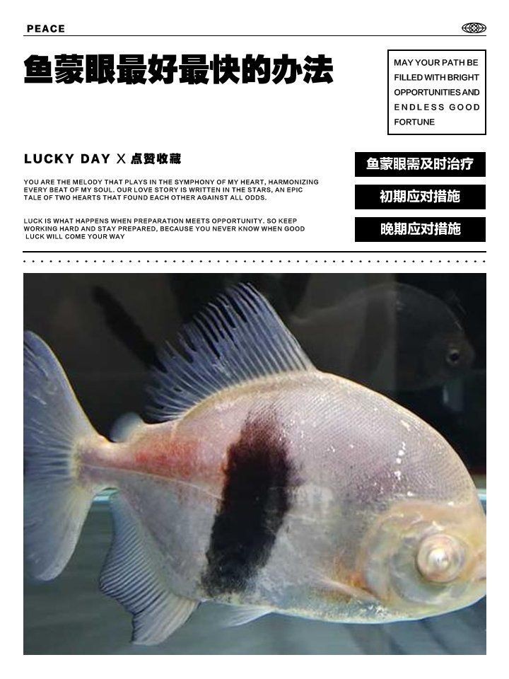 魚蒙眼最有效治療方法【如何判斷魚蒙眼病的嚴重程度】