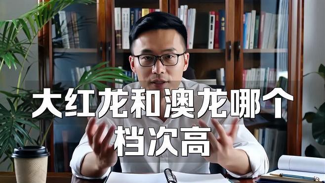如何區分紅龍和澳龍【大師兄的生活百科小楊百科小知識紅龍和澳龍的區別】