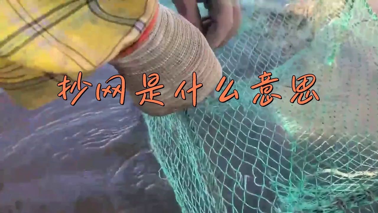 撈魚抄網【撈魚抄網——傳統漁具的實用與魅力】