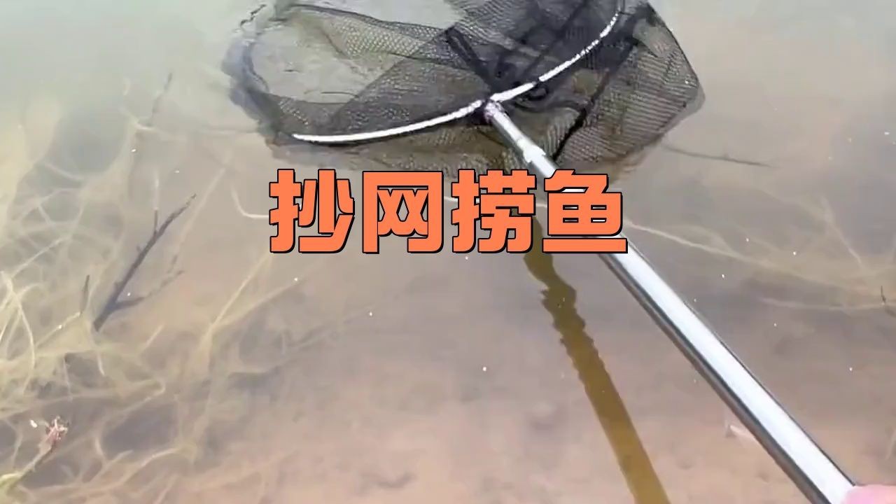 撈魚抄網【撈魚抄網——傳統漁具的實用與魅力】