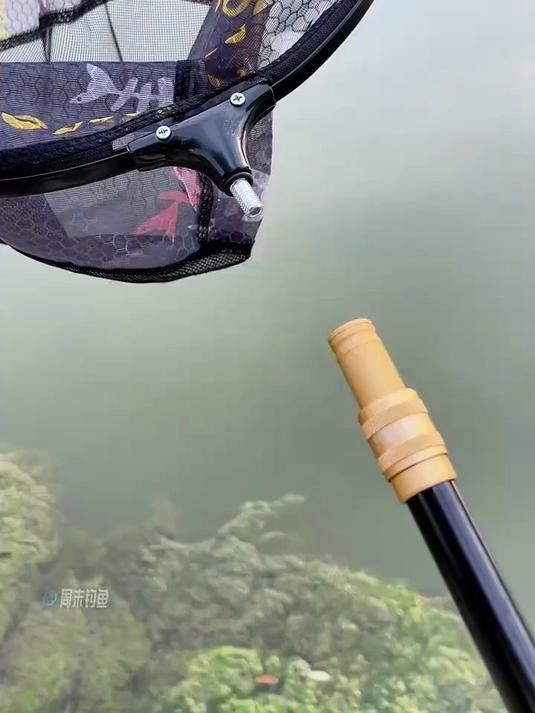 撈魚抄網【撈魚抄網——傳統漁具的實用與魅力】