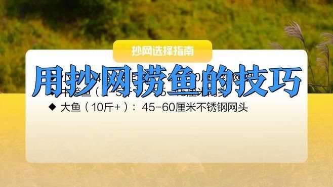 撈魚抄網【撈魚抄網——傳統漁具的實用與魅力】