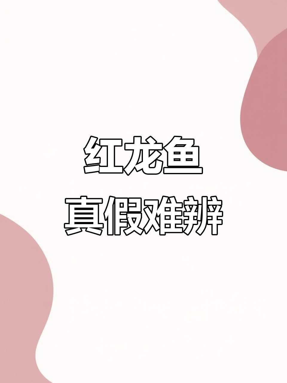 如何辨別真假紅龍魚？【嗶哩嗶哩龍魚發色騙局揭秘真假紅龍魚發色騙局揭秘】 如何辨別真假紅龍魚？【嗶哩嗶哩龍魚發色騙局揭秘真假紅龍魚發色騙局揭秘】 龍魚論壇 第2張