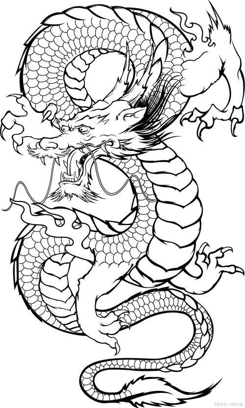 龍的簡筆畫【新手必看簡筆畫教程】 龍的簡筆畫【新手必看簡筆畫教程】 龍魚百科 第25張