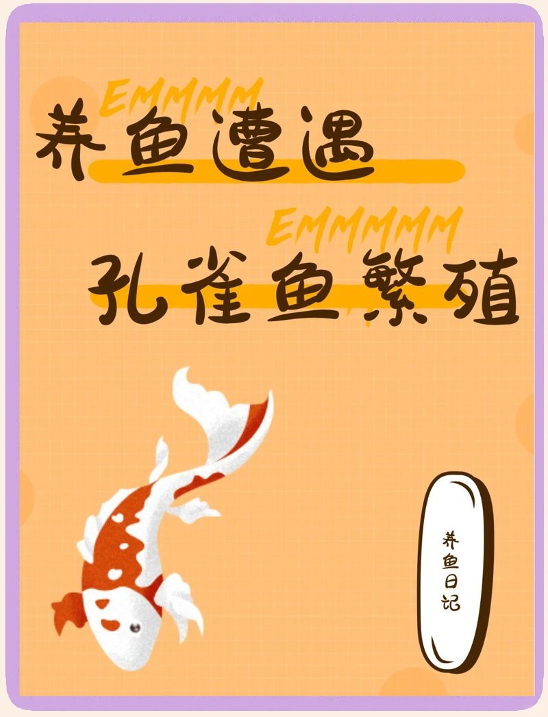 孔雀魚生一個吃一個【 孔雀魚生一個吃一個【\