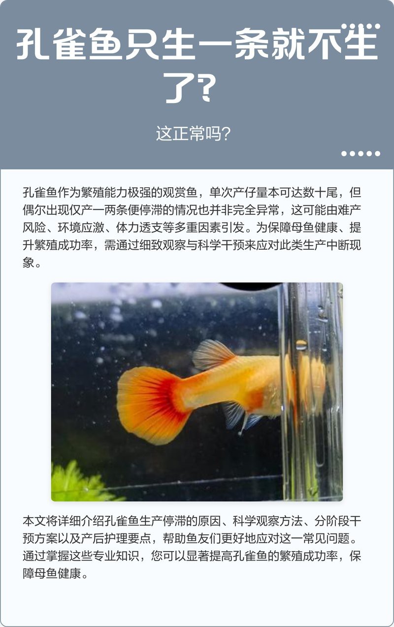 孔雀魚生一個吃一個【 孔雀魚生一個吃一個【\