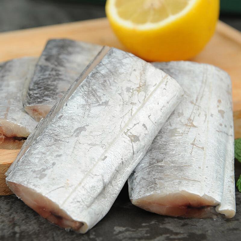 刀魚的圖片【《刀魚：獨特魚類的視覺呈現》】