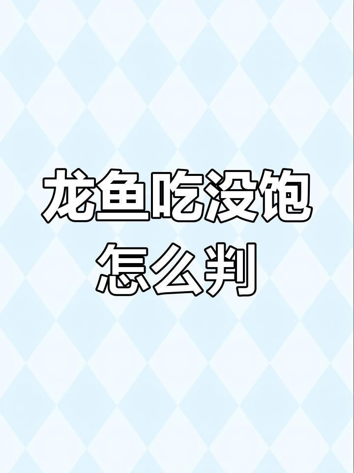如何判斷小紅龍魚是否吃飽？【如何判斷小紅龍魚是否吃飽】