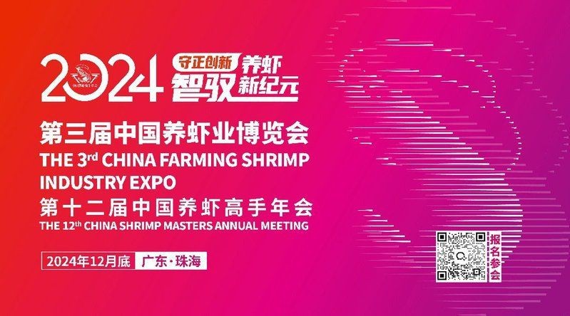 紅石斑魚為什么便宜【為什么紅石斑魚的價(jià)格一直下跌？】