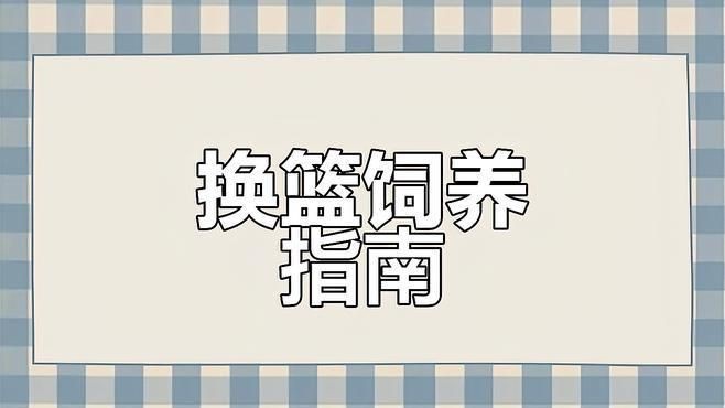 藍寶石魚視頻【坦桑尼亞藍寶石慈鯛以其獨特的淡藍色斑點成為觀賞魚代表】